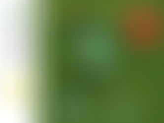 Anaércio no Torneio Lopes da Silva