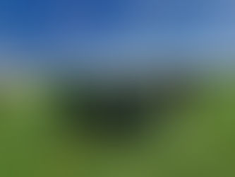 Infantis | Dragões - Chamusca (6-1)