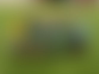 Infantis Fut. 9 | Dragões - Riachense (1-4)