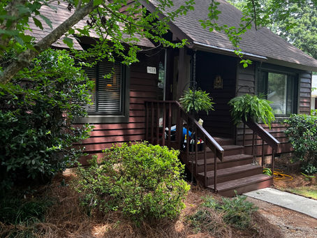 How to Get Rid of Flies in the House