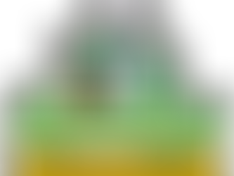 The Importance of Professional Residential Cleaning: A Comprehensive Guide