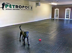 Back Area 3.jpg