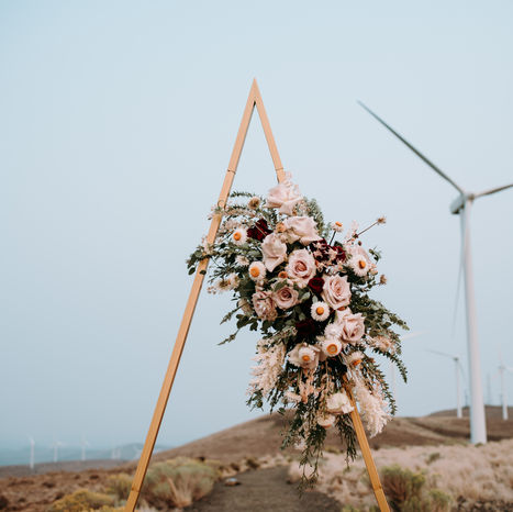 Windy Eastern Washington Windmills | Adventure Maternity Session | Tierney & Tyler
