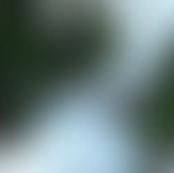 Island Couples Session | Oahu, Hawaii | Julie & Aaron