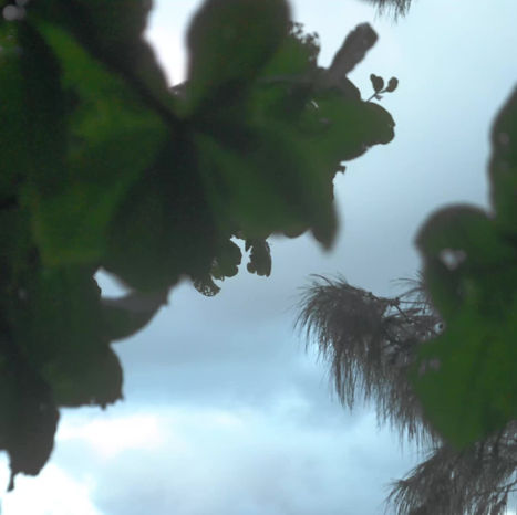 Island Couples Session | Oahu, Hawaii | Julie & Aaron