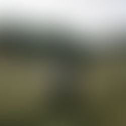 PNW Adventure Engagement | Snoqualmie, WA | Annia & Josh