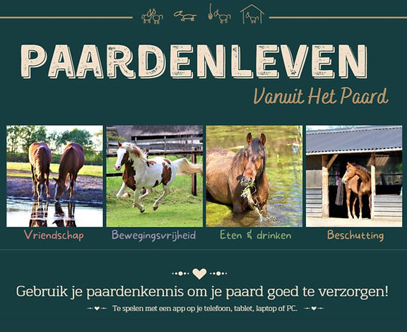 Leukste paarden bordspel Vanuit het Paard