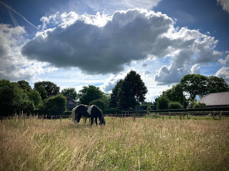 Cursus Ruwvoer van Equinoji