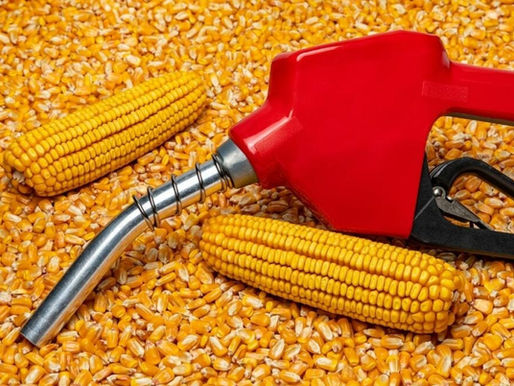 Future Outlook Briefing - Corn Ethanol in a Low-Carbon Economy