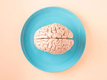 Image of brain prototype