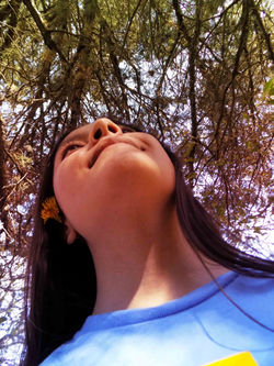 modelo 3