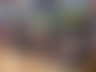 【BIG.NINE 20-MD】街乗りもこなす29erエントリーモデル