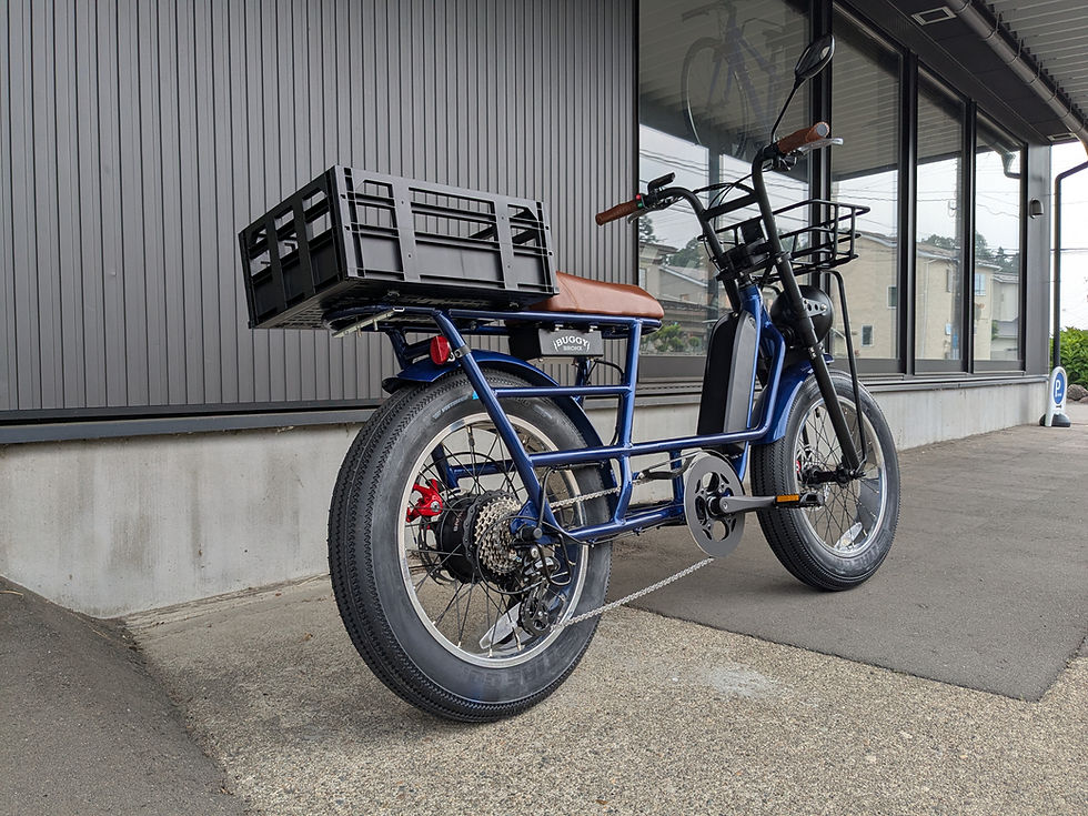 shcwinn STING PRO シュウィン BMX Schwinn Sting Pro 20