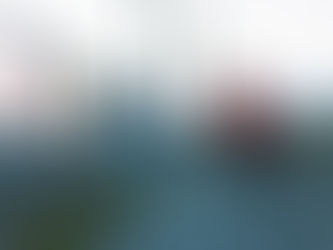 【入荷情報】TERN「CLUTCH」