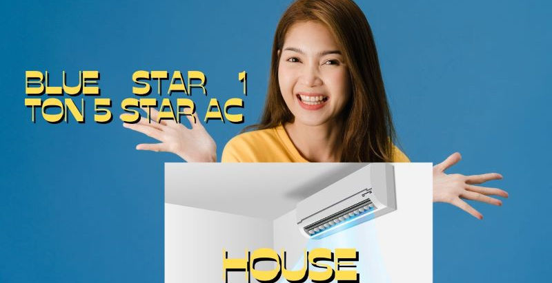Amazon ने सस्ते कर दिए Blue Star 1 Ton 5 Star AC के दाम, भरोसेमंद प्रदर्शन के साथ इस गर्मी में मिल सकती है राहत..