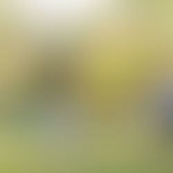 An Anne Intro & A Peek at How We Got Here: Episode 89