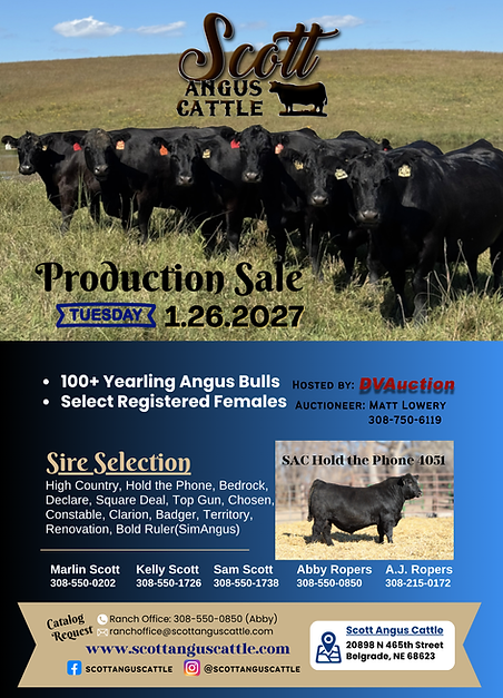 2026 NAA Full Page Ad - Scott Angus Cattle - New Size (8.5 x 11 in) (5.75 x 8.75 in) (3).p