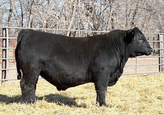 Lot 24-SAC Nebraskaland 4287_edited.jpg