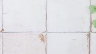 NUTRIFIT ŠPAGETE SA CRVENIM PESTOM I BELIM LUKOM