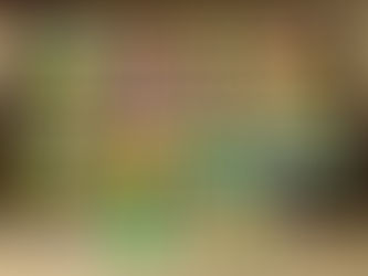 The Life Cycle of a Butterfly