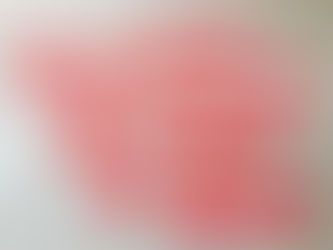 The Little Red Hen and Honey Bees