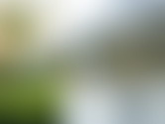 Upgrade Your Home with Seamless Gutters