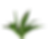 tropical plant in white pot digital