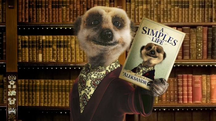 A Simples Life