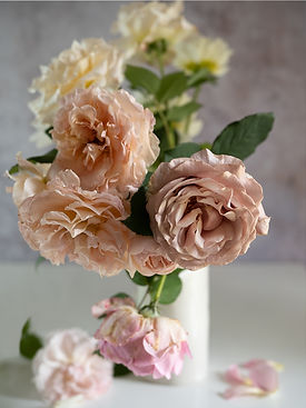 Shades of Caramel by Alison Trimbee.jpg