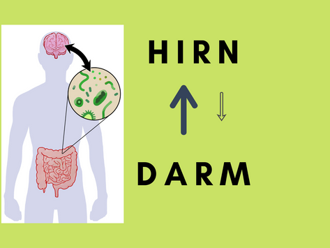 Darmgesundheit und Psyche