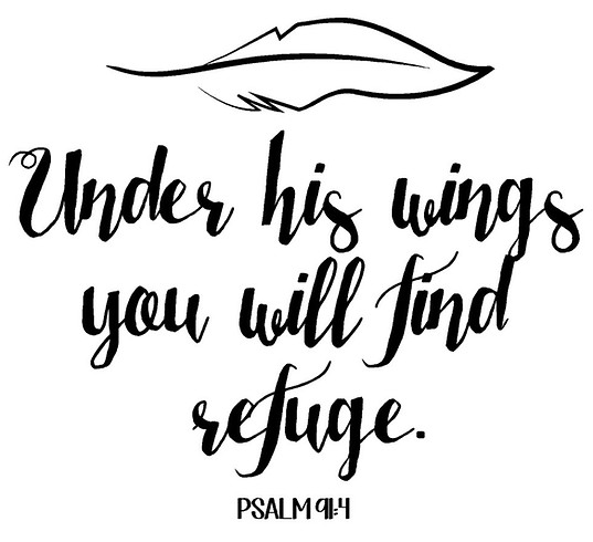 psalm_91.4 Refuge.jpg