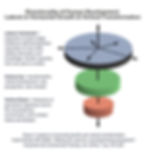 SGC_Directionality of Human Dev._edited.jpg