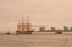 882 Passar pela Troia