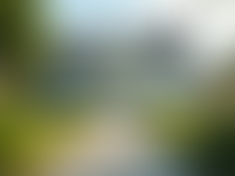 How Regular Home Exterior Maintenance Protects Your Roof, Prevents Insurance Cancellations, and Boosts Property Value