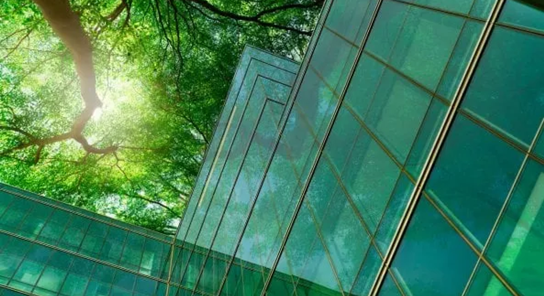 genius company 01.webp