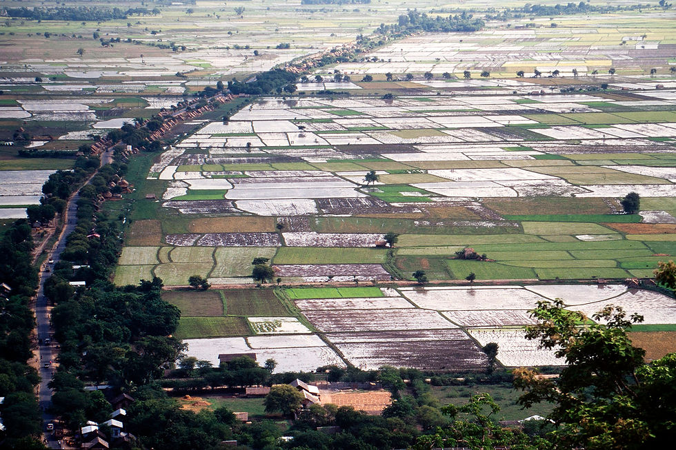 Myanmar_05