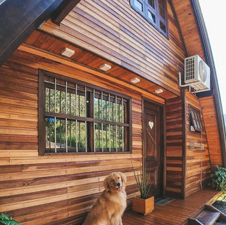hospedagem pet friendly