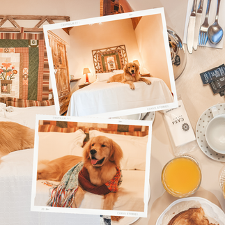 Hospedagem Pet Friendly em Gramado