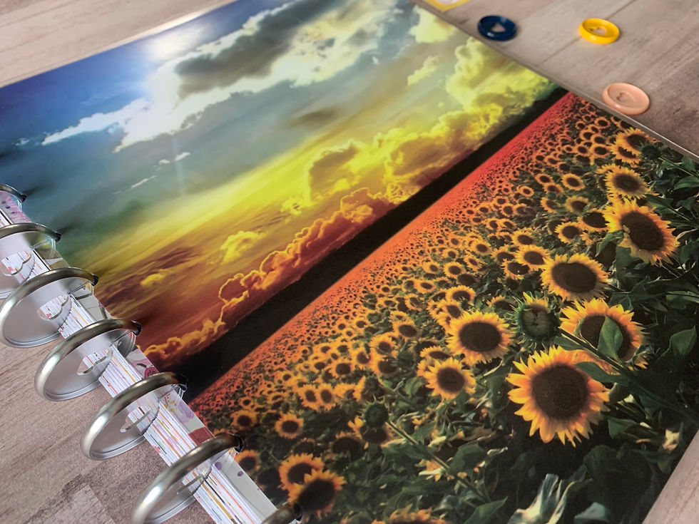 Thumbnail: Sunflower Field Cover