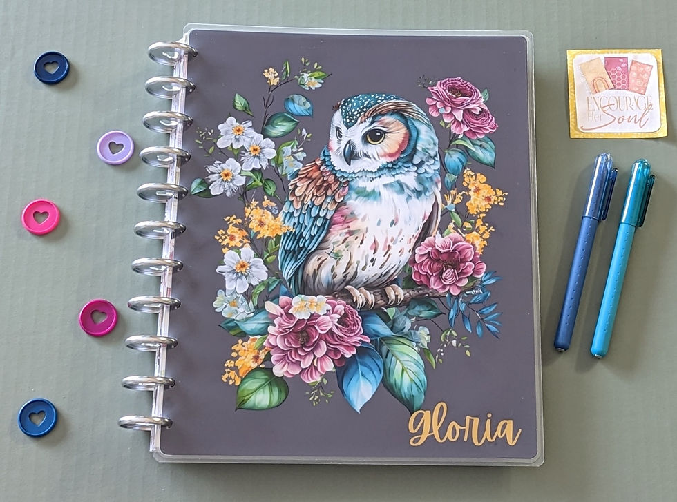 Thumbnail: It's Owl in the Details