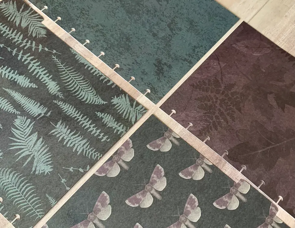 Laminated Dividers: Dark By Design