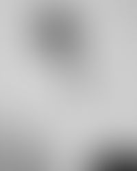 INTRODUCING MAXIM HUMAJ