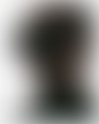 INTRODUCING TOM MERCER