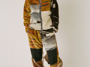 ARIES AW21