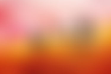 RAF SIMONS FALL 2020 - CAMPAIGN