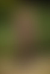 ERMENEGILDO ZEGNA SS21 - MFWM