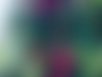 Adem’in Elması Değil, Kralın Elması Yaktı Bizi!