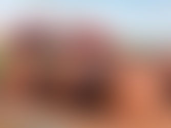 Rekabet Kurumu'ndan Fındıkta Flaş Karar!