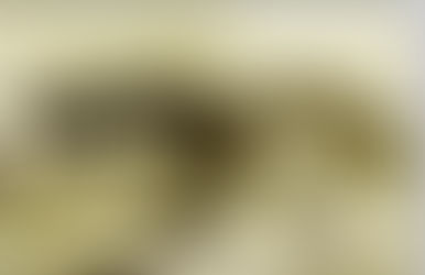 Açık Kalan Damlar, Yükselen Duvarlar