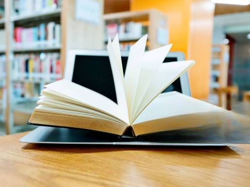 EĞİTİMİN SACAYAĞI